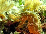 2012-09-17 12-22-18 Steven